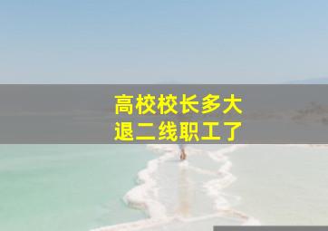 高校校长多大退二线职工了