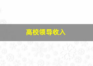 高校领导收入