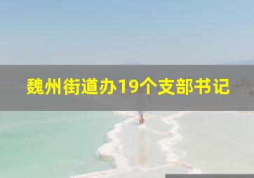 魏州街道办19个支部书记