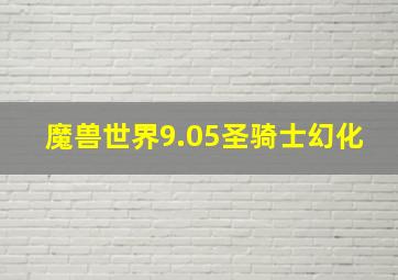 魔兽世界9.05圣骑士幻化