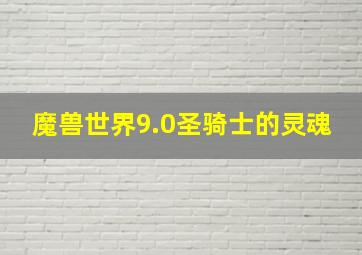 魔兽世界9.0圣骑士的灵魂