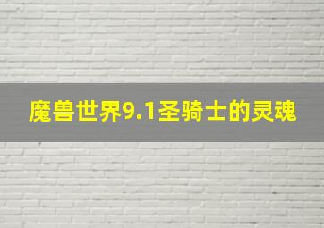 魔兽世界9.1圣骑士的灵魂