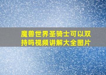 魔兽世界圣骑士可以双持吗视频讲解大全图片