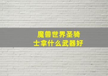 魔兽世界圣骑士拿什么武器好