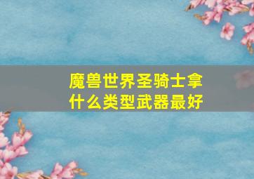 魔兽世界圣骑士拿什么类型武器最好