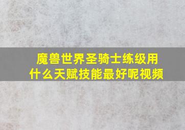 魔兽世界圣骑士练级用什么天赋技能最好呢视频