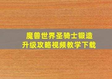 魔兽世界圣骑士锻造升级攻略视频教学下载