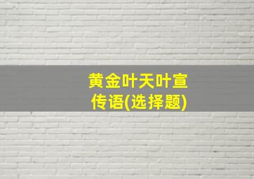 黄金叶天叶宣传语(选择题)