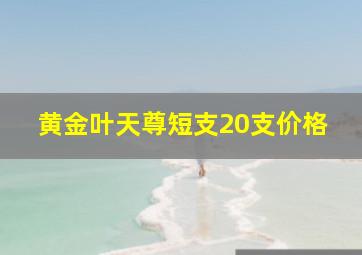 黄金叶天尊短支20支价格