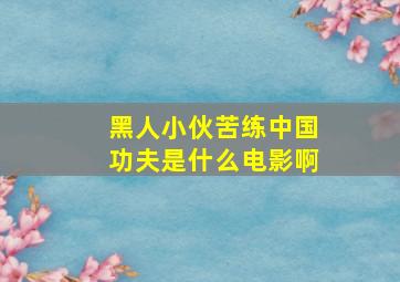 黑人小伙苦练中国功夫是什么电影啊