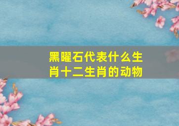 黑曜石代表什么生肖十二生肖的动物