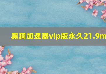 黑洞加速器vip版永久21.9m