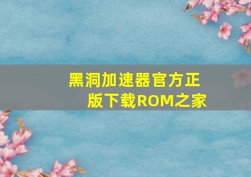 黑洞加速器官方正版下载ROM之家