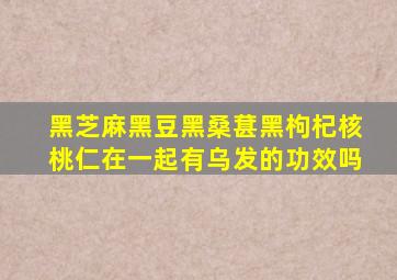 黑芝麻黑豆黑桑葚黑枸杞核桃仁在一起有乌发的功效吗