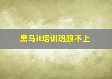 黑马it培训班跟不上