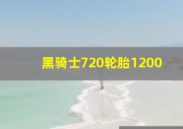 黑骑士720轮胎1200