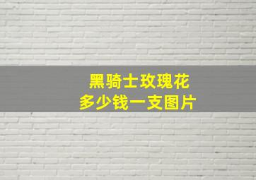 黑骑士玫瑰花多少钱一支图片