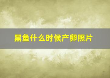 黑鱼什么时候产卵照片