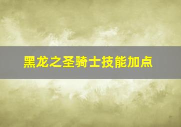 黑龙之圣骑士技能加点