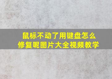 鼠标不动了用键盘怎么修复呢图片大全视频教学