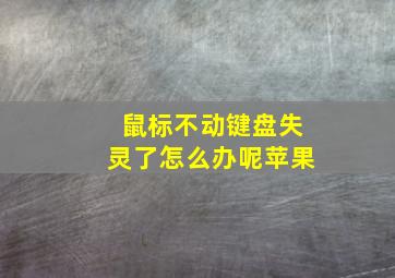 鼠标不动键盘失灵了怎么办呢苹果