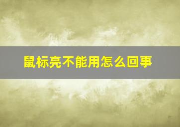 鼠标亮不能用怎么回事