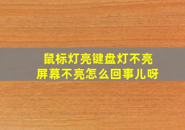 鼠标灯亮键盘灯不亮屏幕不亮怎么回事儿呀