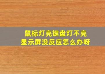 鼠标灯亮键盘灯不亮显示屏没反应怎么办呀