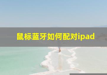 鼠标蓝牙如何配对ipad