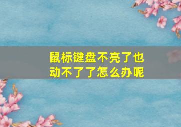 鼠标键盘不亮了也动不了了怎么办呢