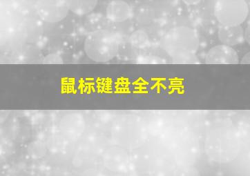 鼠标键盘全不亮