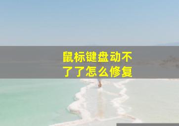 鼠标键盘动不了了怎么修复