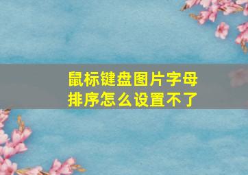 鼠标键盘图片字母排序怎么设置不了