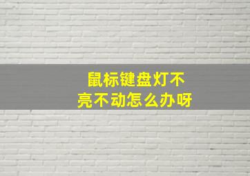 鼠标键盘灯不亮不动怎么办呀