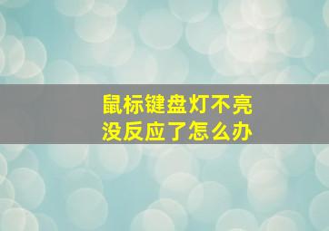 鼠标键盘灯不亮没反应了怎么办