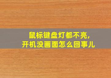 鼠标键盘灯都不亮,开机没画面怎么回事儿