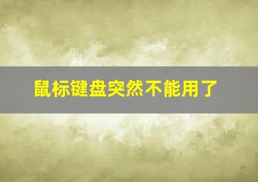 鼠标键盘突然不能用了