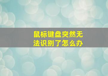 鼠标键盘突然无法识别了怎么办