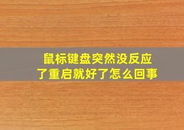 鼠标键盘突然没反应了重启就好了怎么回事