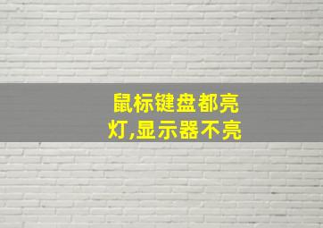 鼠标键盘都亮灯,显示器不亮