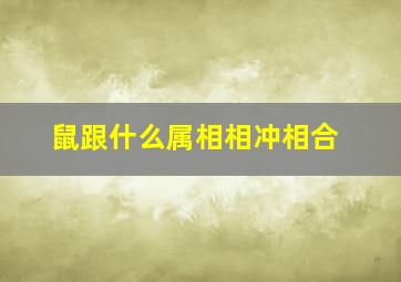 鼠跟什么属相相冲相合