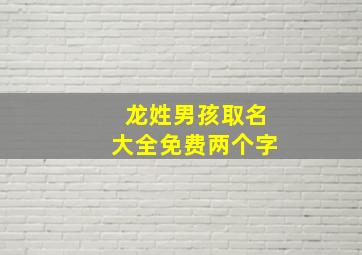 龙姓男孩取名大全免费两个字