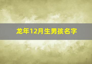 龙年12月生男孩名字