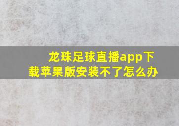 龙珠足球直播app下载苹果版安装不了怎么办