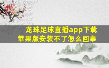 龙珠足球直播app下载苹果版安装不了怎么回事