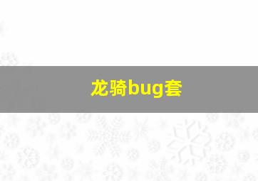 龙骑bug套