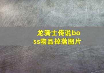 龙骑士传说boss物品掉落图片