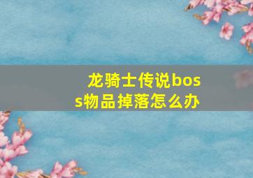 龙骑士传说boss物品掉落怎么办